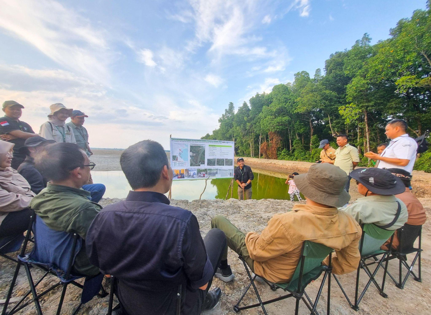 Pulihkan Ekosistem Mangrove Lewat Tambak Silvofishery, BRGM Rangkul PSM, KKP, dan Perguruan Tinggi di Kalimantan Utara